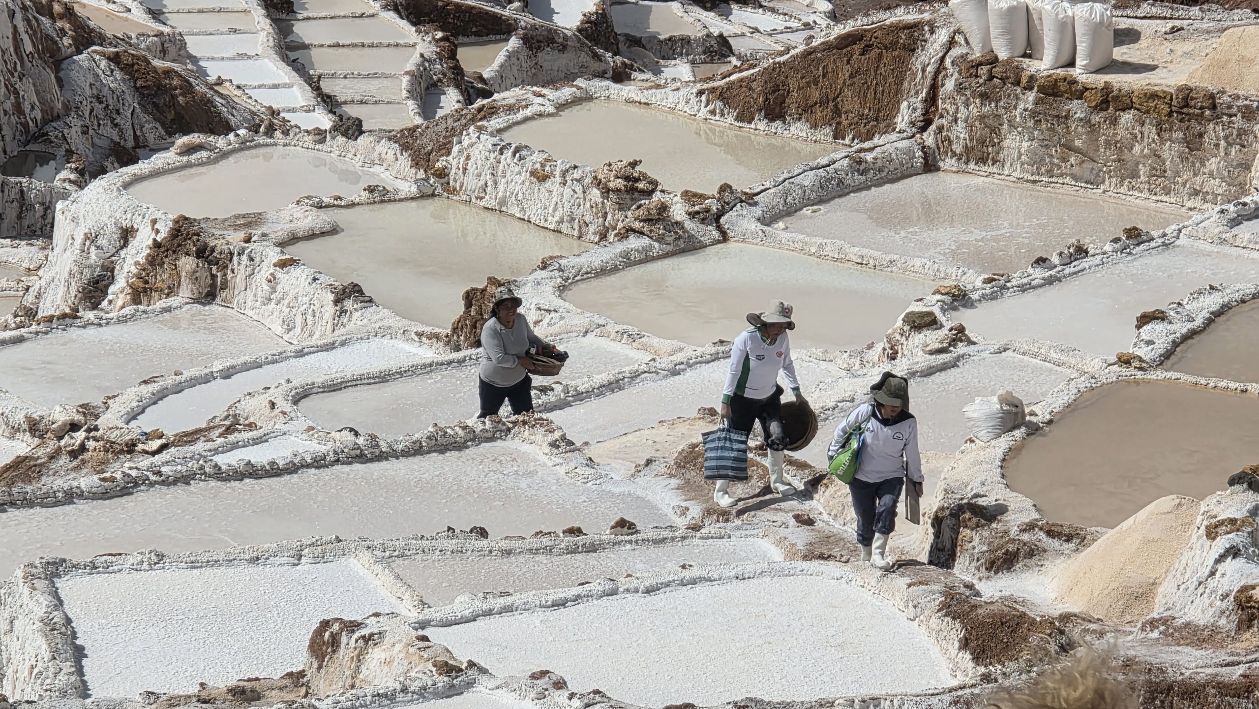 Salinas Maras. Excursión de 1 día desde Cusco