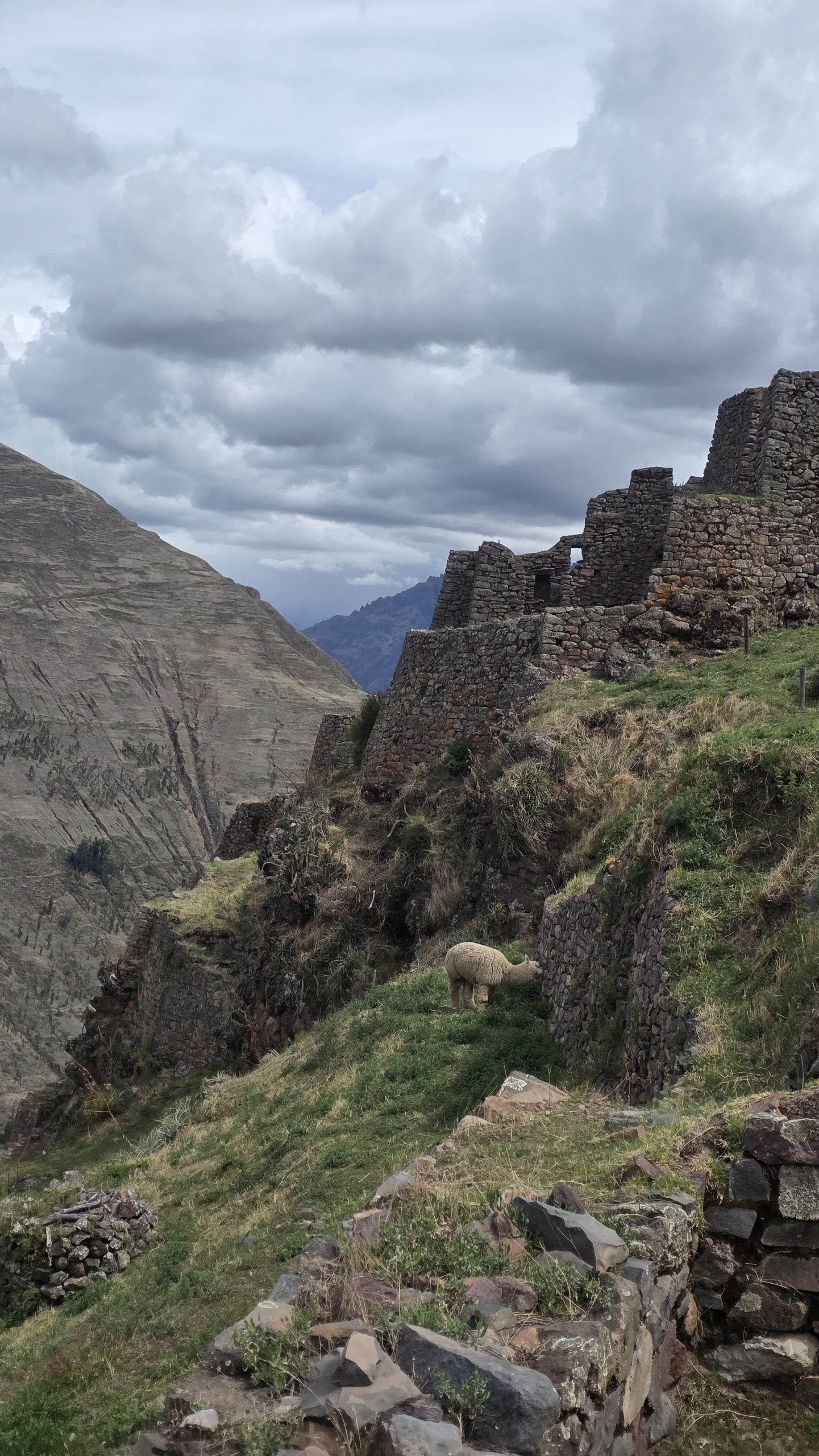 Pisac en Valle Sagrado, Cusco Peru