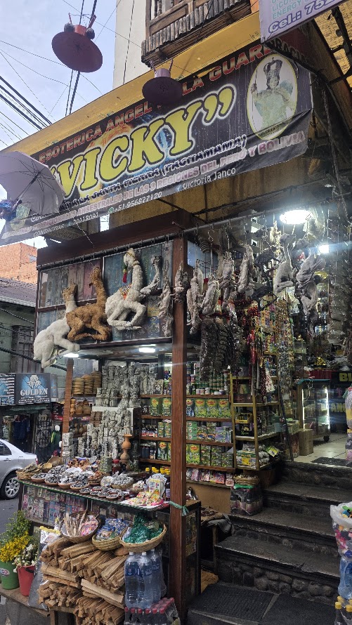 Mercado de las Brujas La Paz Bolivia, fetos llama