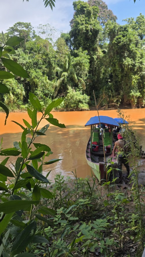 Parque Nacional Madidi Rurrenabaque Bolivia