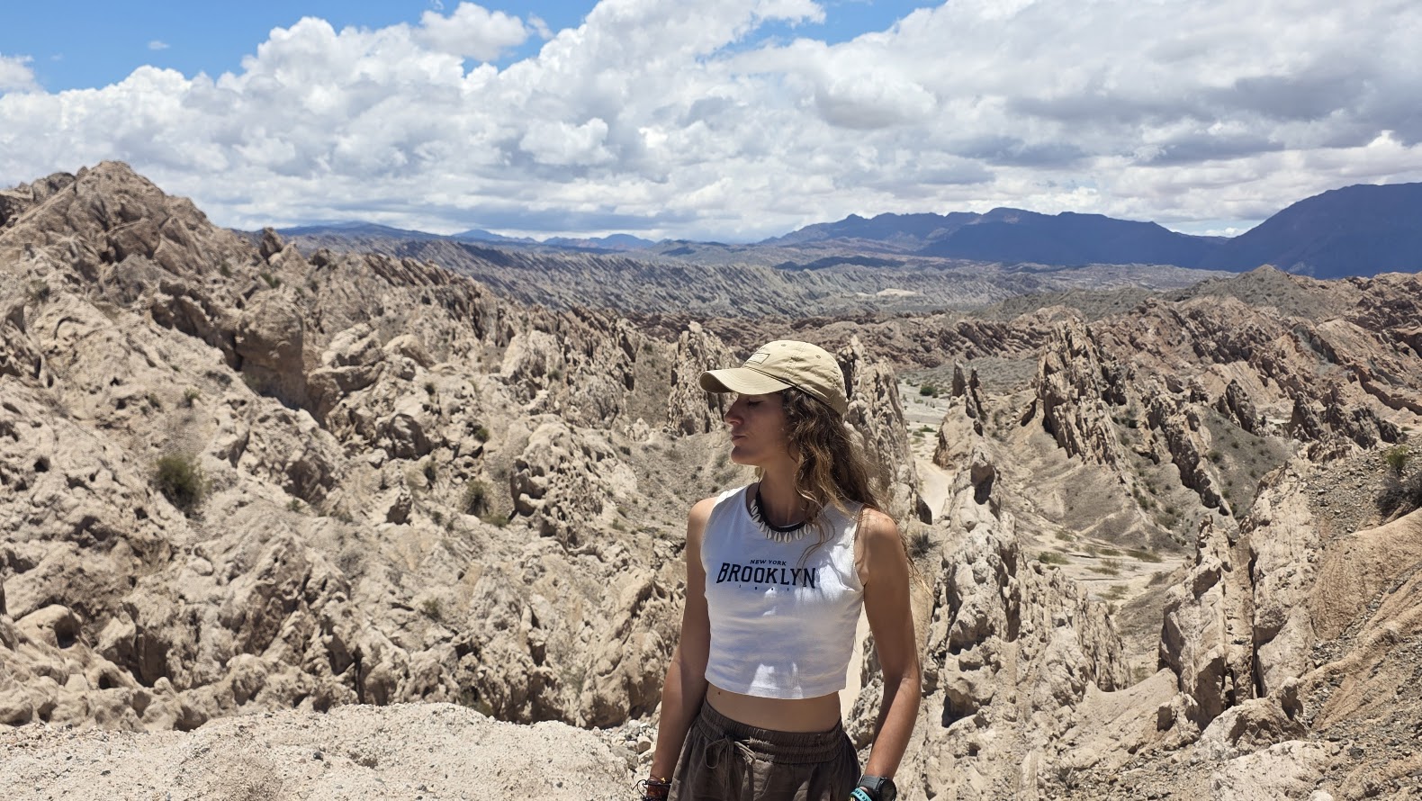 Quebrada de las flechas Cafayate ruta 40