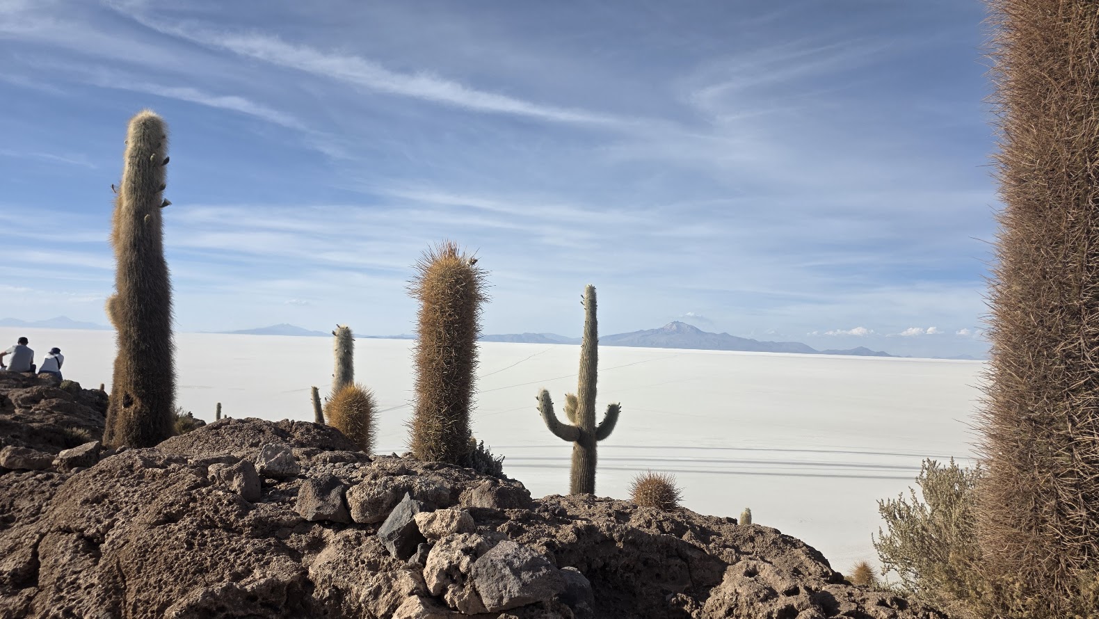 Isla Incahuasi, Salar de Uyuni, Bolivia