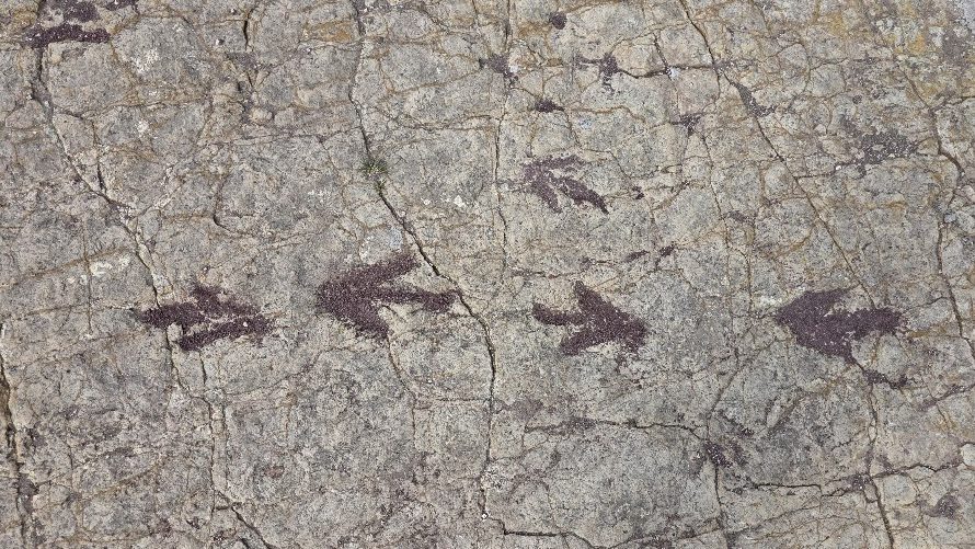 Huellas de dinosaurio Toro-Toro