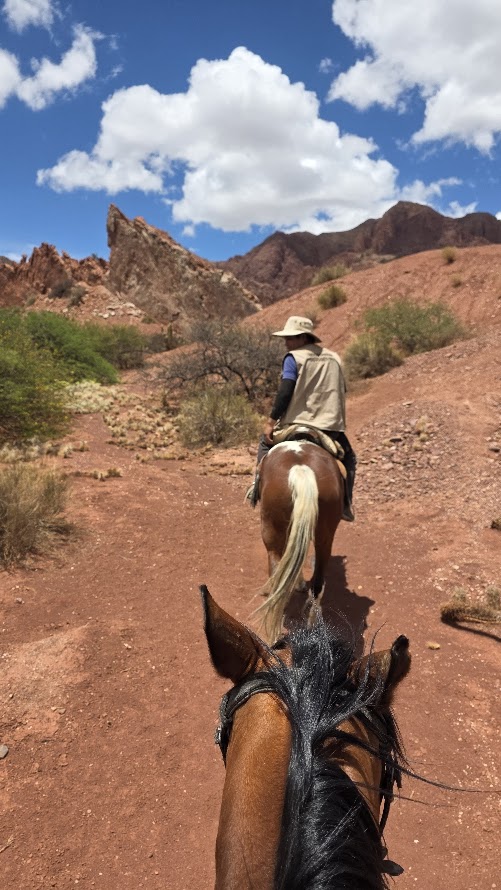 Tupiza, caballos Bolivia